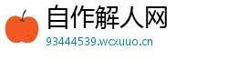 自作解人网